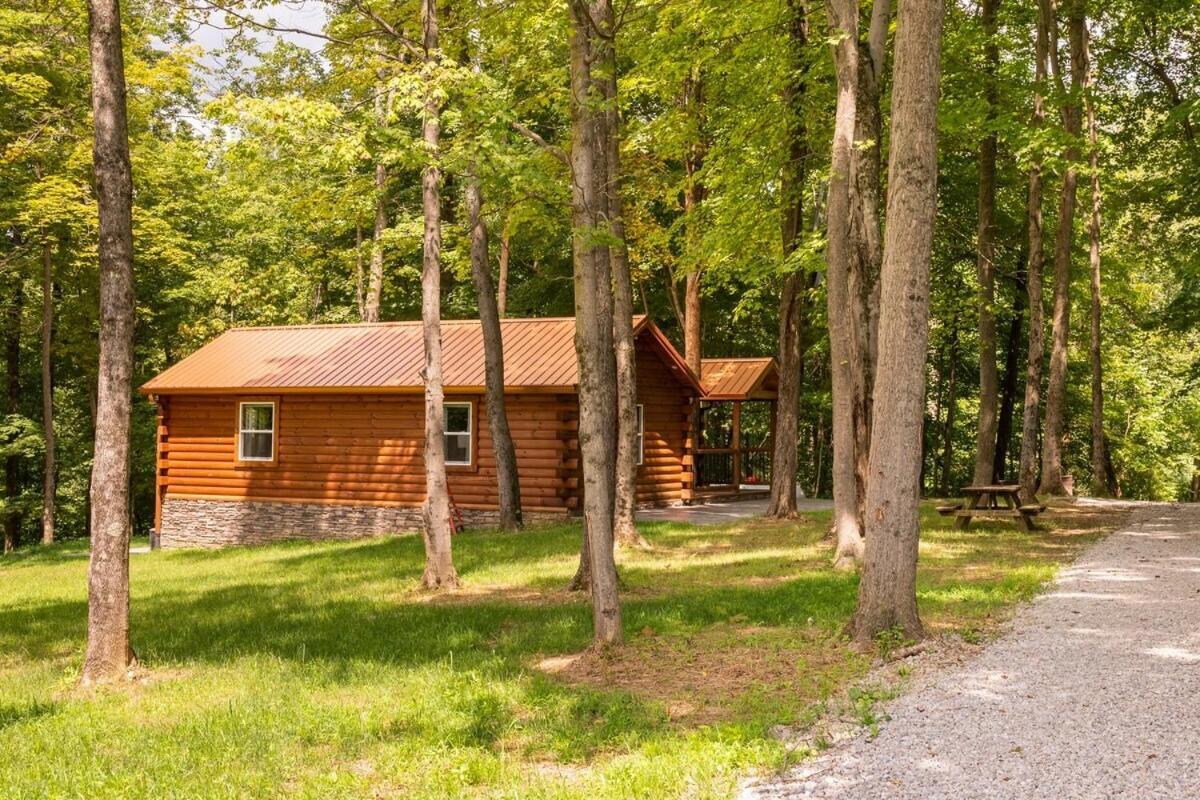 Secluded Wooded Cabin Near The Hocking Hills New Straitsville Dış mekan fotoğraf